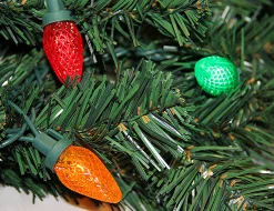 Northlight 15 Feet And Taller><noscript><img width=