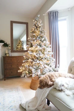 Northlight 7 And 7.5 Feet Tall>7' Pre-Lit Flocked Balsam Pine Artificial Christmas Tree - Clear Lights