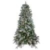 Northlight Pre-Lit Traditional Trees>7.5' Pre-Lit Flocked Rosemary Emerald Angel Pine Artificial Christmas Tree - Clear Led Lights