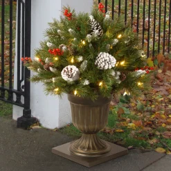 National Tree Company Potted Trees>2' Pre-Lit Frosted Berry Porch Artificial Christmas Tree, Clear Lights