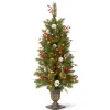 National Tree Company Potted Trees>4' Pre-Lit Frosted Pine And Berry Artificial Christmas Tree, Clear Lights