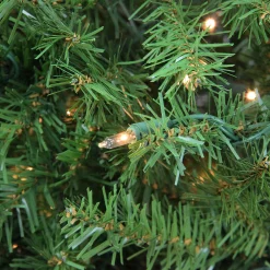 Northlight 6 And 6.5 Feet Tall>6.5' Pre-Lit Full Artificial Northern Pine Christmas Tree - Clear Lights