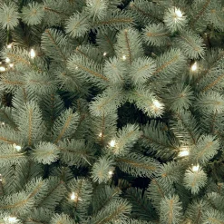 National Tree Company 6 And 6.5 Feet Tall>6.5' Pre-Lit Full Downswept Douglas Fir Artificial Christmas Tree, White Lights