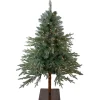 Northlight 4 And 4.5 Feet Tall>4.5' Pre-Lit Full Fairbanks Alpine Artificial Christmas Tree - Clear Lights