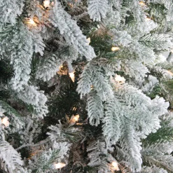 Northlight 9 And 9.5 Feet Tall><noscript><img width=