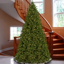 National Tree Company 10 To 14 Feet Tall>12' Pre-Lit Full Jersey Fraser Artificial Christmas Tree, Clear Lights