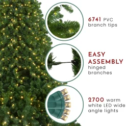 Northlight 10 To 14 Feet Tall><noscript><img width=