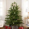 Northlight 7 And 7.5 Feet Tall>7.5' Pre-Lit Full Oregon Noble Fir Artificial Christmas Tree - Warm White Led Lights