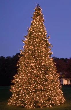 Northlight 15 Feet And Taller>26' Pre-Lit Giant Olympia Pine Commercial Artificial Tower Christmas Tree - Warm White Led Lights