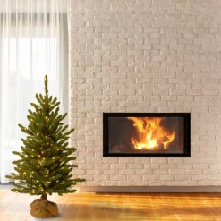 National Tree Company Potted Trees><noscript><img width=