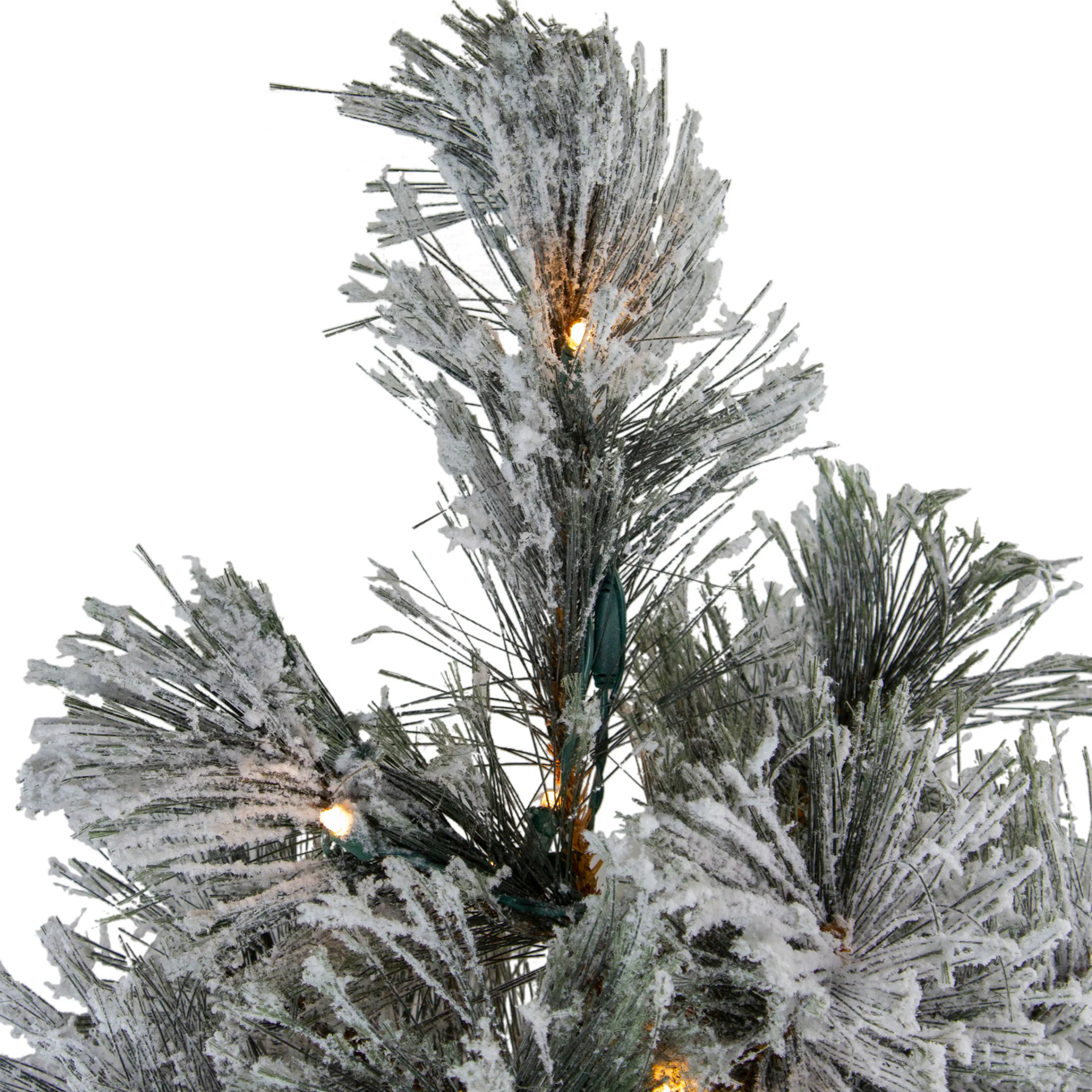 Northlight 4 And 4.5 Feet Tall>4.5' Pre-Lit Led Black Spruce Artificial Christmas Tree - Clear Lights