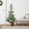 Northlight 4 And 4.5 Feet Tall>4.5' Pre-Lit Led Layered Nordmann Fir Artificial Christmas Tree, Warm Clear Lights