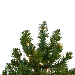 Northlight 2.5 Feet Tall And Smaller><noscript><img width=