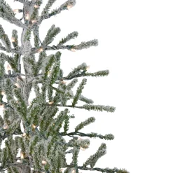 Northlight 5 And 5.5 Feet Tall><noscript><img width=