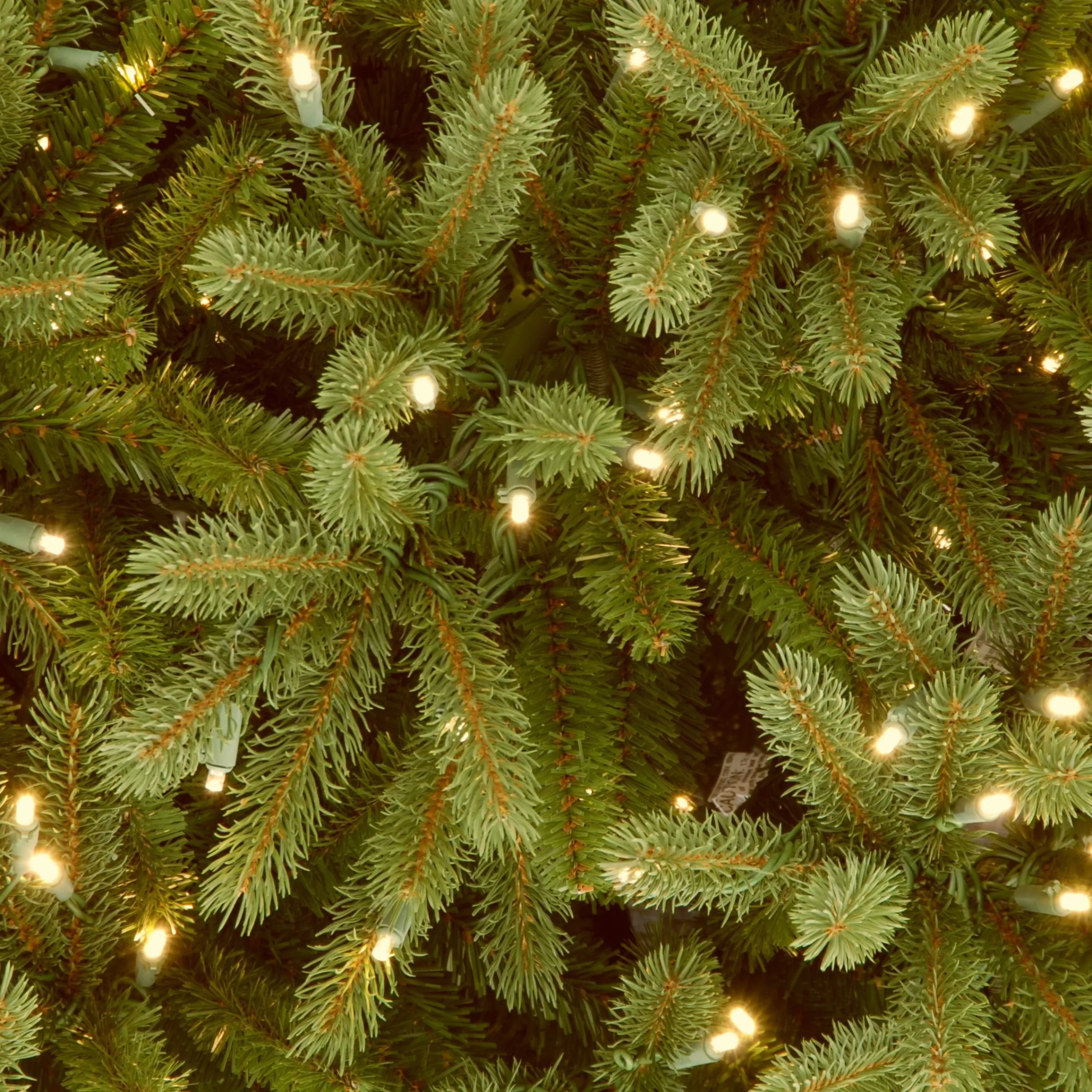 National Tree Company 9 And 9.5 Feet Tall>9' Pre-Lit Medium Jersey Fraser Fir Artificial Christmas Tree, White Lights