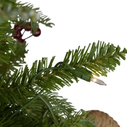 Northlight 7 And 7.5 Feet Tall><noscript><img width=