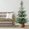Northlight 6 And 6.5 Feet Tall>6.5' Pre-Lit Nordmann Fir Artificial Christmas Tree, Warm Clear Led Lights