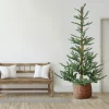 Northlight 9 And 9.5 Feet Tall>9' Pre-Lit Nordmann Fir Artificial Christmas Tree - Warm Clear Led Lights
