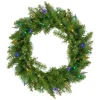 Pre-Lit Wreaths*Northlight 24" Pre-Lit Northern Pine Artificial Multi-Color Led Lights Christmas Wreath