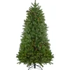 Northlight 6 And 6.5 Feet Tall>6.5' Pre-Lit Palisades Fir Artificial Christmas Tree - Clear Lights