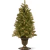 National Tree Company Potted Trees>4' Pre-Lit Potted Downswept Fir Artificial Christmas Tree, Clear Lights