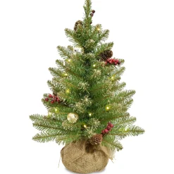 National Tree Company 2.5 Feet Tall And Smaller>2' Pre-Lit Potted Dunhill Fir Full Artificial Christmas Tree, White Led Lights