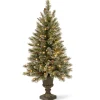 National Tree Company Potted Trees>5' Pre-Lit Potted Glittery Bristle Artificial Christmas Tree, Clear Lights