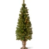 National Tree Company Potted Trees>5' Pre-Lit Potted Montclair Spruce Christmas Tree, Clear Lights