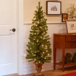National Tree Company Potted Trees>5' Pre-Lit Potted Montclair Spruce Christmas Tree, Clear Lights