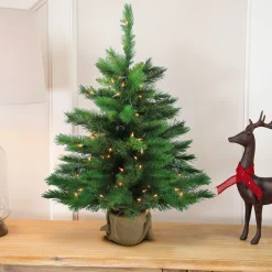 Northlight 3 And 3.5 Feet Tall>3' Pre-Lit Potted New Carolina Spruce Medium Artificial Christmas Tree - Clear Lights