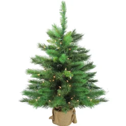 Northlight 3 And 3.5 Feet Tall>3' Pre-Lit Potted New Carolina Spruce Medium Artificial Christmas Tree - Clear Lights