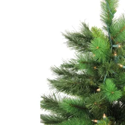 Northlight 3 And 3.5 Feet Tall><noscript><img width=