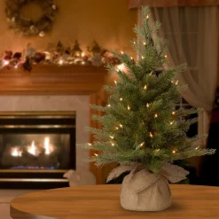 National Tree Company Potted Trees><noscript><img width=