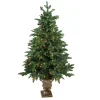 Northlight 4 And 4.5 Feet Tall>4.5' Pre-Lit Potted Sierra Norway Spruce Slim Artificial Christmas Tree, Clear Lights
