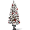 National Tree Company Potted Trees>5' Pre-Lit Potted Snowy Bristle Pine Entrance Artificial Christmas Tree – Clear Lights