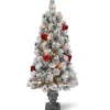 National Tree Company Potted Trees>4' Pre-Lit Potted Snowy Bristle Pine Artificial Christmas Tree, Clear Lights