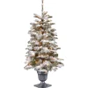 National Tree Company Potted Trees>4' Pre-Lit Potted Snowy Camden Entrance Artificial Christmas Tree, Clear Lights