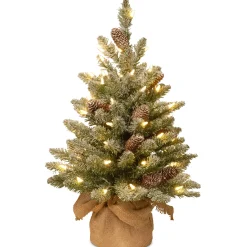 National Tree Company 2.5 Feet Tall And Smaller>2' Pre-Lit Potted Snowy Concolor Fir Artificial Christmas Tree, White Led Lights