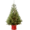 National Tree Company 5 And 5.5 Feet Tall>5' Pre-Lit Potted Topeka Spruce Entrance Artificial Christmas Tree, Clear Lights