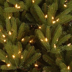 National Tree Company 5 And 5.5 Feet Tall>5' Pre-Lit Potted Topeka Spruce Entrance Artificial Christmas Tree, Clear Lights