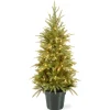 National Tree Company Potted Trees>4' Pre-Lit Potted Weeping Spruce Artificial Christmas Tree, Clear Lights
