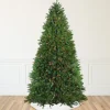 Northlight 10 To 14 Feet Tall>12' Pre-Lit Rockwood Pine Artificial Christmas Tree, Multi Led Lights