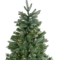 Northlight 10 To 14 Feet Tall><noscript><img width=