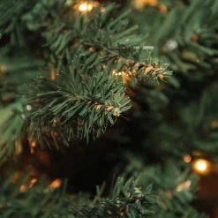 Northlight 9 And 9.5 Feet Tall><noscript><img width=