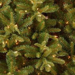 National Tree Company 9 And 9.5 Feet Tall>9' Pre-Lit Slim Tiffany Fir Artificial Christmas Tree, Clear Lights