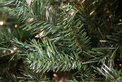 Bright Gate 7 And 7.5 Feet Tall>7.5' Pre-Lit Slim Traditional Mixed Pine Artificial Christmas Tree - Clear Lights