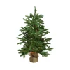 Northlight 3 And 3.5 Feet Tall>3' Pre-Lit Viella Norway Spruce Artificial Christmas Tree - Clear Lights