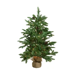 Northlight 3 And 3.5 Feet Tall>3' Pre-Lit Viella Norway Spruce Artificial Christmas Tree - Clear Lights
