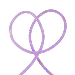 Northlight 150' Purple Led Indoor Or Outdoor Commercial Grade Christmas Rope Lights