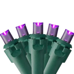 Northlight 50 Purple Led Wide Angle Christmas Lights - 16.25 Ft Green Wire